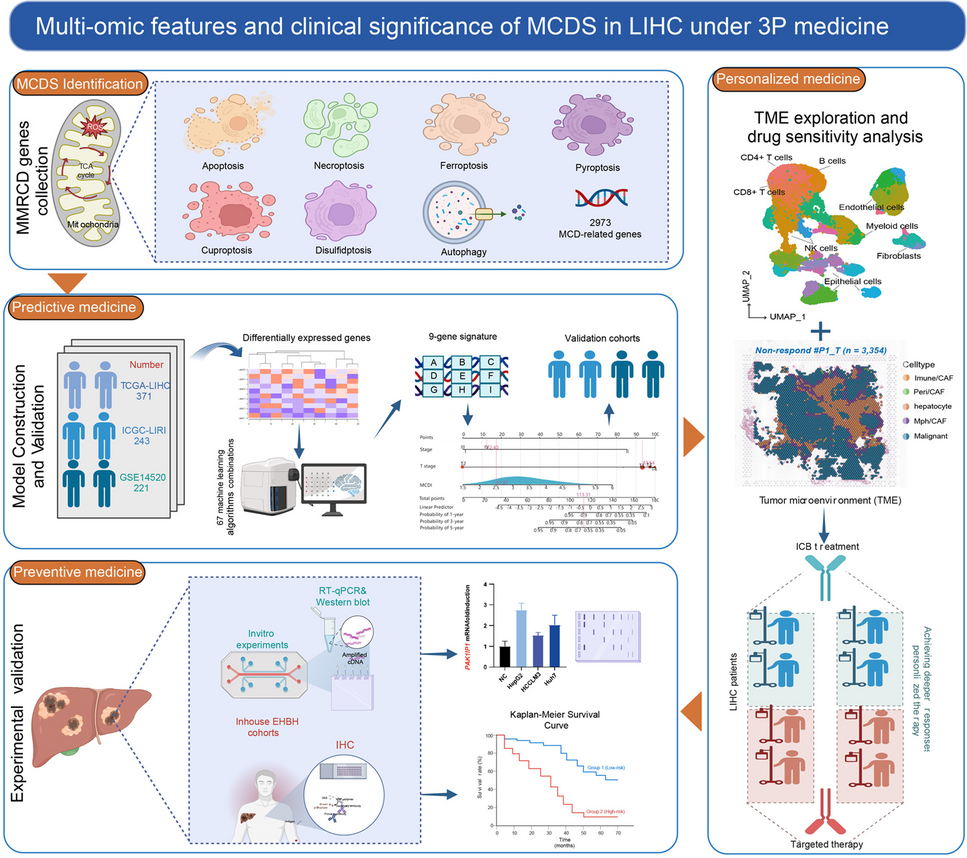 Multi-omic profiling reveals potential biomarkers of hepatocellular carcinoma prognosis and therapy response among mitochondria-associated cell death genes in the context of 3P medicine