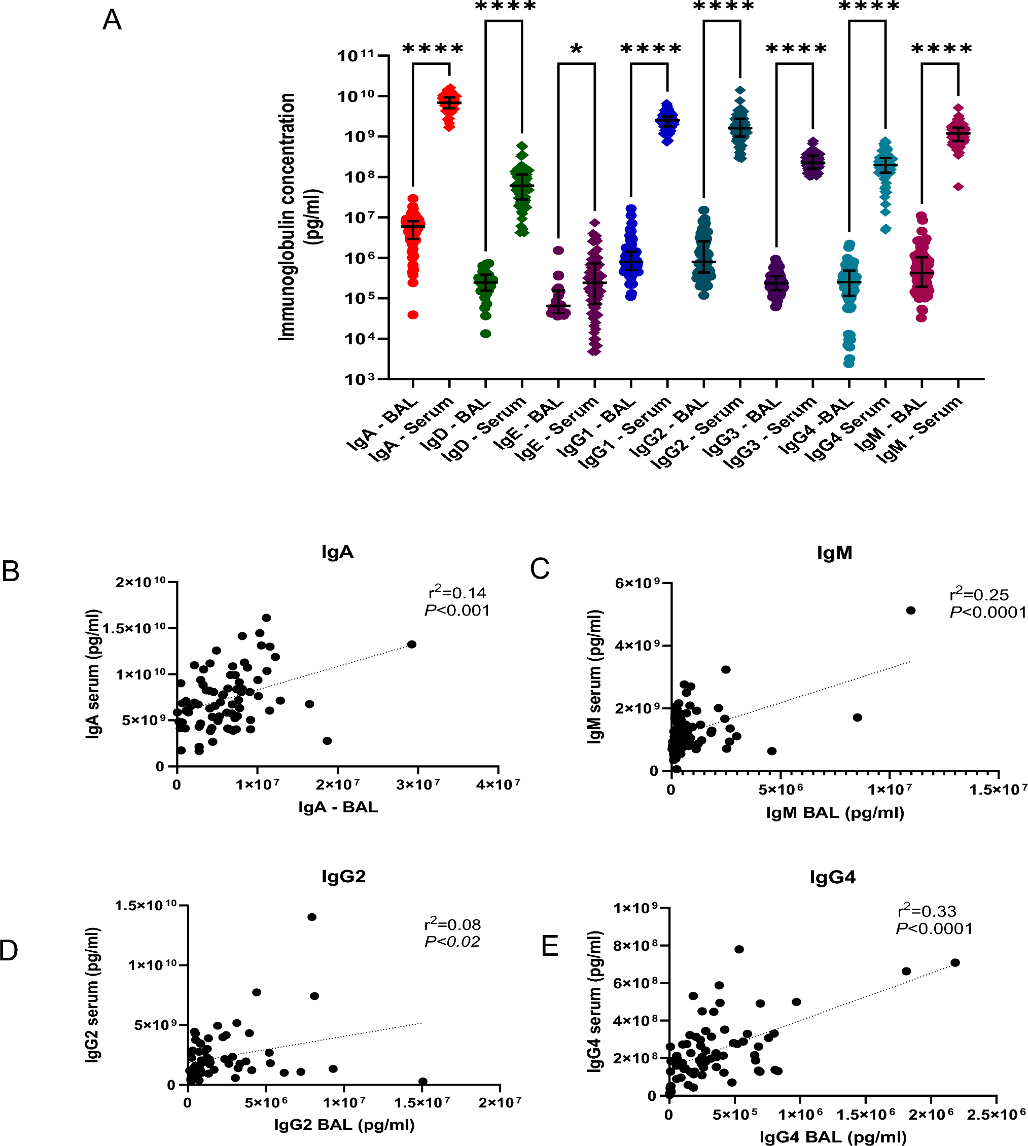 Airway and Systemic Immunoglobulin Profiling and Immune Response in Adult Asthma