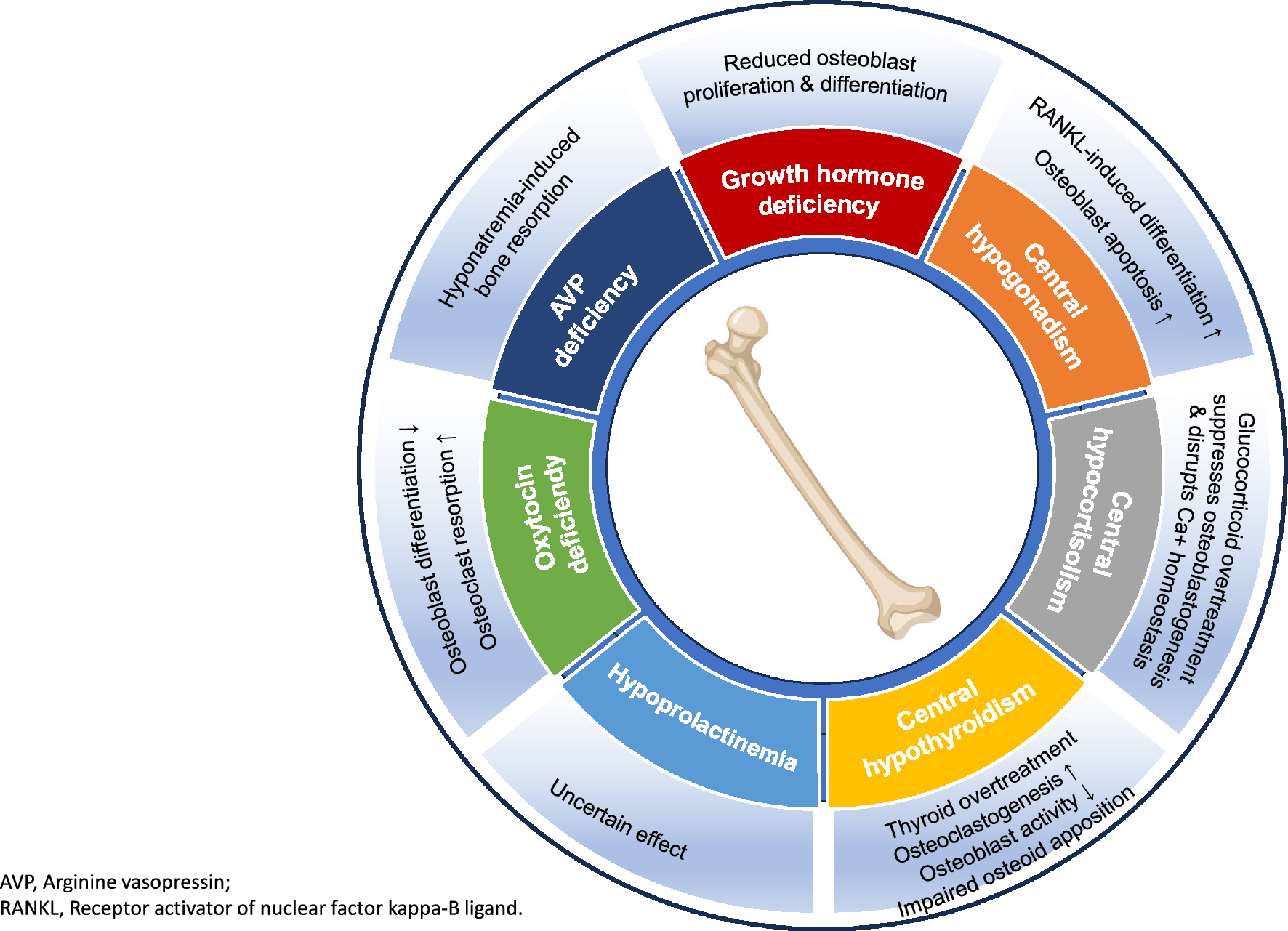 Hypopituitarism and bone disease: pathophysiology, diagnosis and treatment outcomes