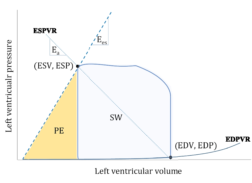 Left Ventricular Unloading in Extracorporeal Membrane Oxygenation: A Clinical Perspective Derived from Basic Cardiovascular Physiology