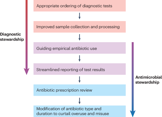 Current and emerging strategies to curb antibiotic-resistant urinary tract infections