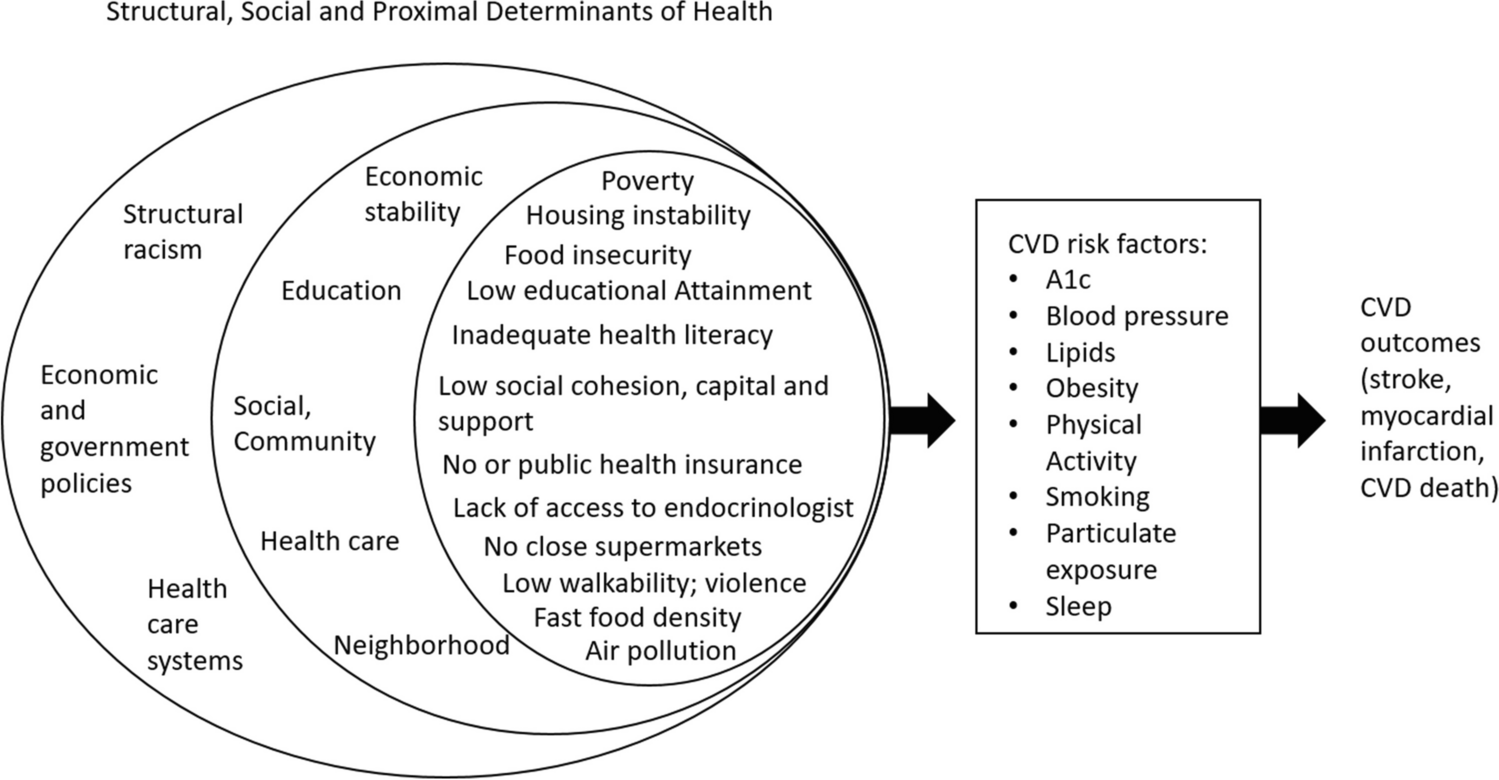 Social and Structural Determinants of Cardiovascular Complications of Diabetes