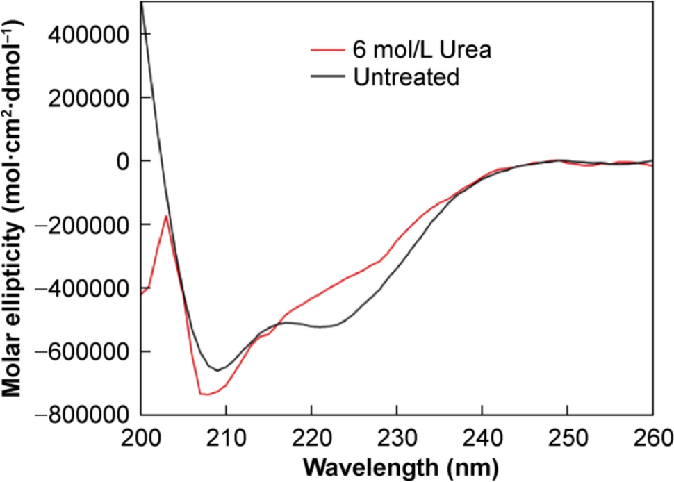 Elucidating the Degradation Pathways of Human Insulin in the Solid State