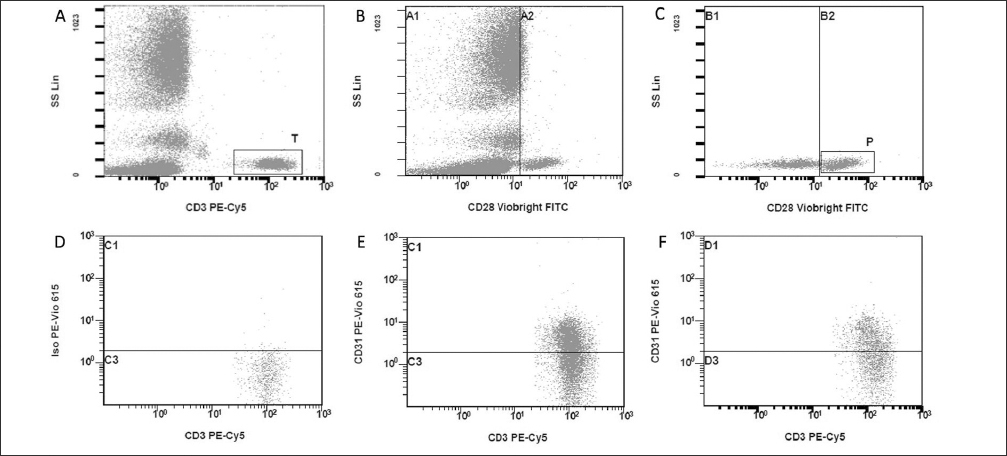 Circulating Angiogenic and Senescent T Lymphocytes in Ageing and Frailty