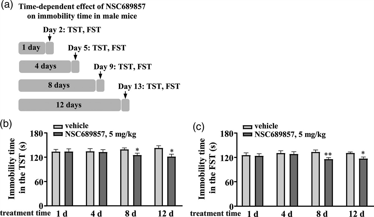 NSC689857, an inhibitor of Skp2, produces antidepressant-like effects in mice