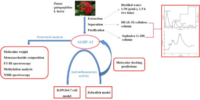 Structural analysis, anti-inflammatory activity of the main water-soluble acidic polysaccharides (AGBP-A3) from Panax quinquefolius L berry