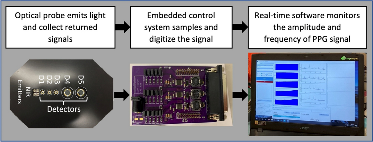 Transcutaneous Discrimination of Fetal Heart Rate from Maternal Heart Rate: A Fetal Oximetry Proof-of-Concept