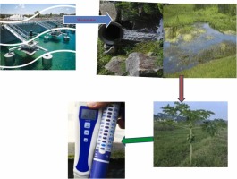 Analysis of nutrient loads, heavy metals and physicochemical properties of wastewater, wetland grass, and papaya samples: Gondar Malt factory, Ethiopia with global implication