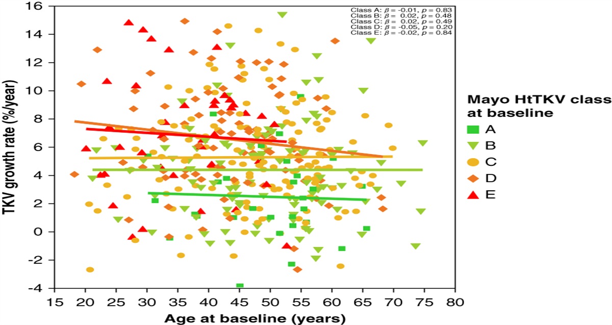 Validation of the Mayo Imaging Classification System for Predicting Kidney Outcomes in ADPKD
