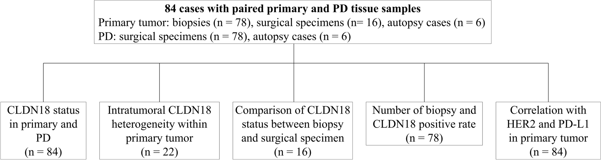 Claudin-18 status and its correlation with HER2 and PD-L1 expression in gastric cancer with peritoneal dissemination