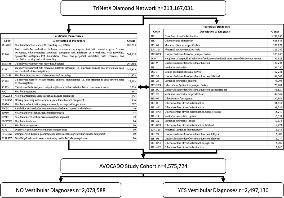 Epidemiology and Comorbidities of Vestibular Disorders: Preliminary Findings of the AVOCADO Study