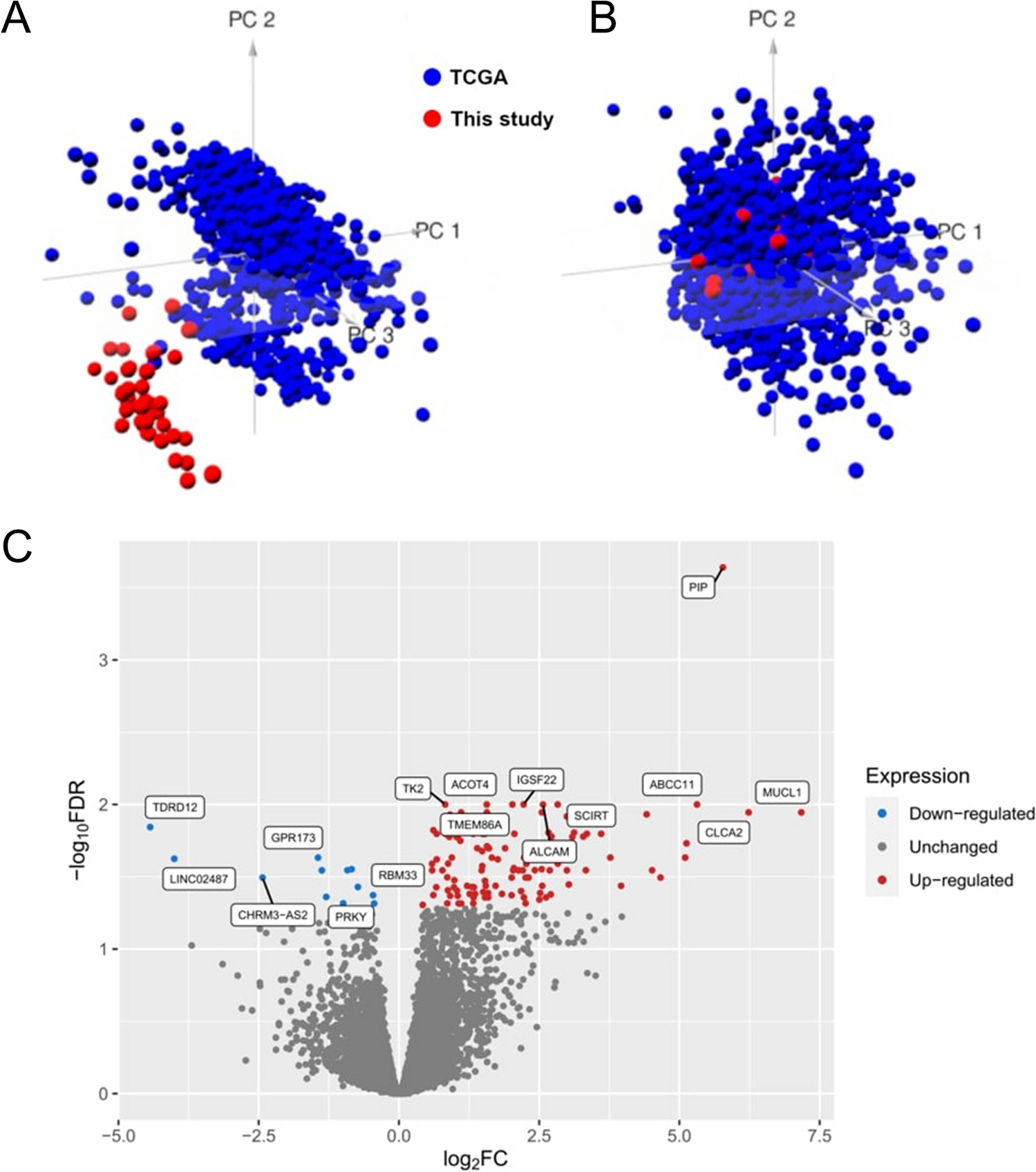 The analysis of transcriptomic signature of TNBC—searching for the potential RNA-based predictive biomarkers to determine the chemotherapy sensitivity