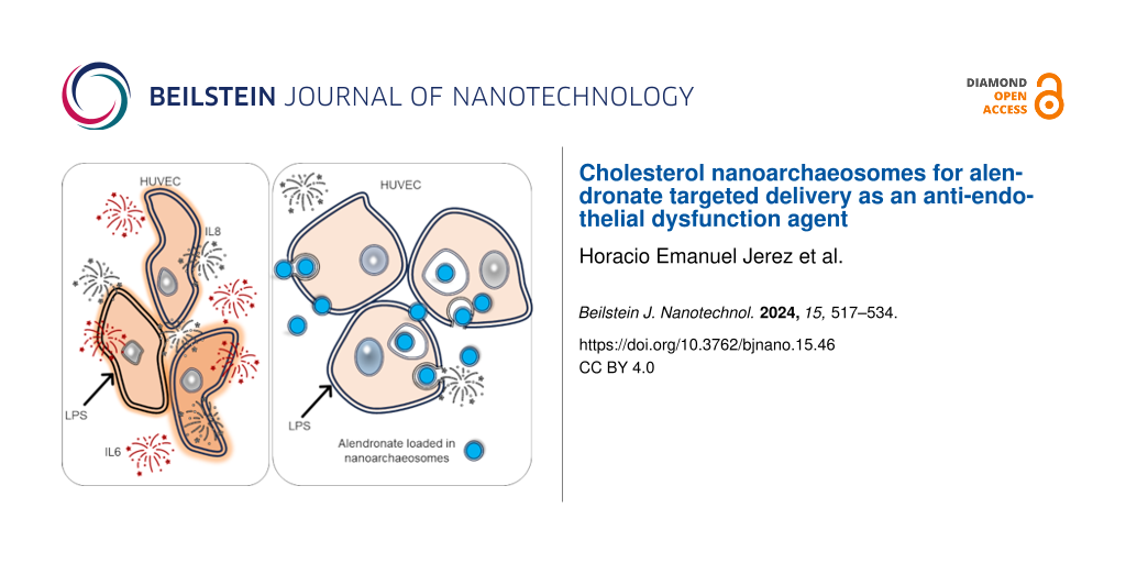 Cholesterol nanoarchaeosomes for alendronate targeted delivery as an anti-endothelial dysfunction agent