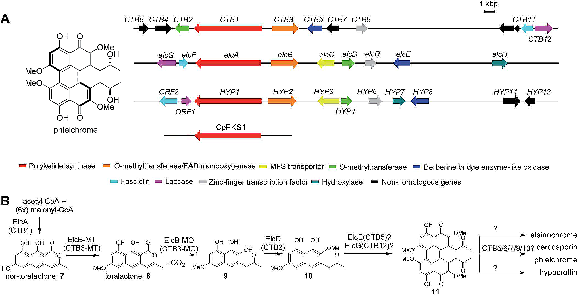 Metabolic engineering of Saccharomyces cerevisiae for the biosynthesis of a fungal pigment from the phytopathogenic fungus Cladosporium phlei