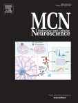 Sex-dependent effects of monomeric α-synuclein on calcium and cell death of lateral hypothalamic mouse neurons are altered by orexin