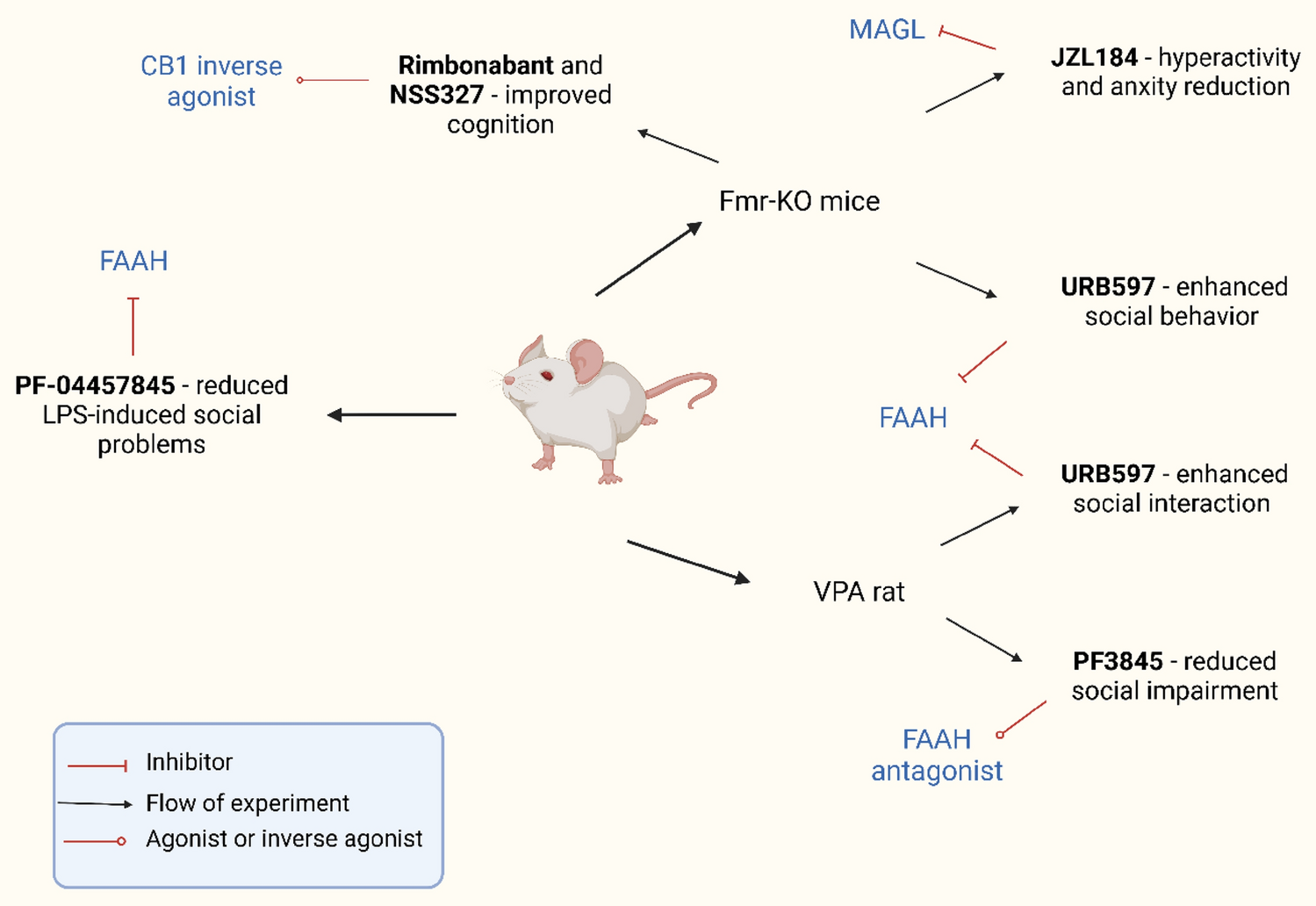 Unraveling the Endocannabinoid System: Exploring Its Therapeutic Potential in Autism Spectrum Disorder