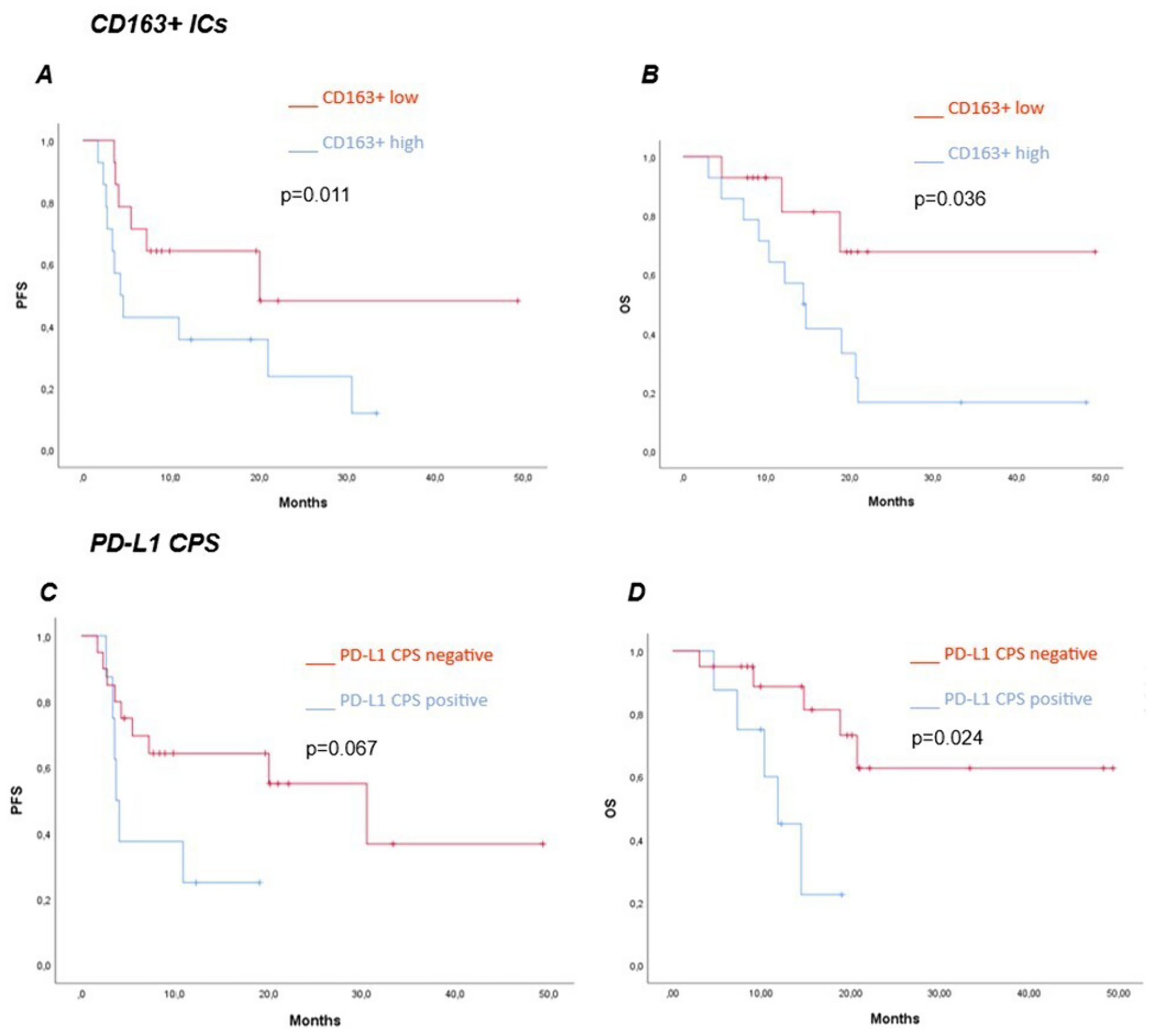 Tumor microenvironment and clinical efficacy of first line immunotherapy-based combinations in metastatic renal cell carcinoma