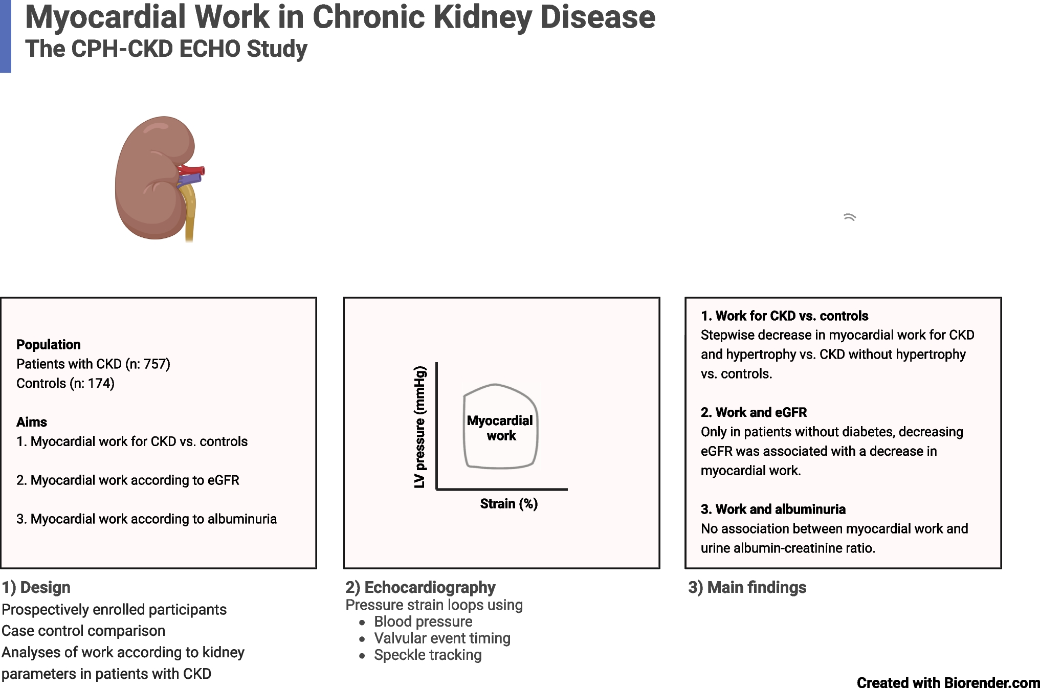 Myocardial work in chronic kidney disease: insights from the CPH-CKD ECHO Study