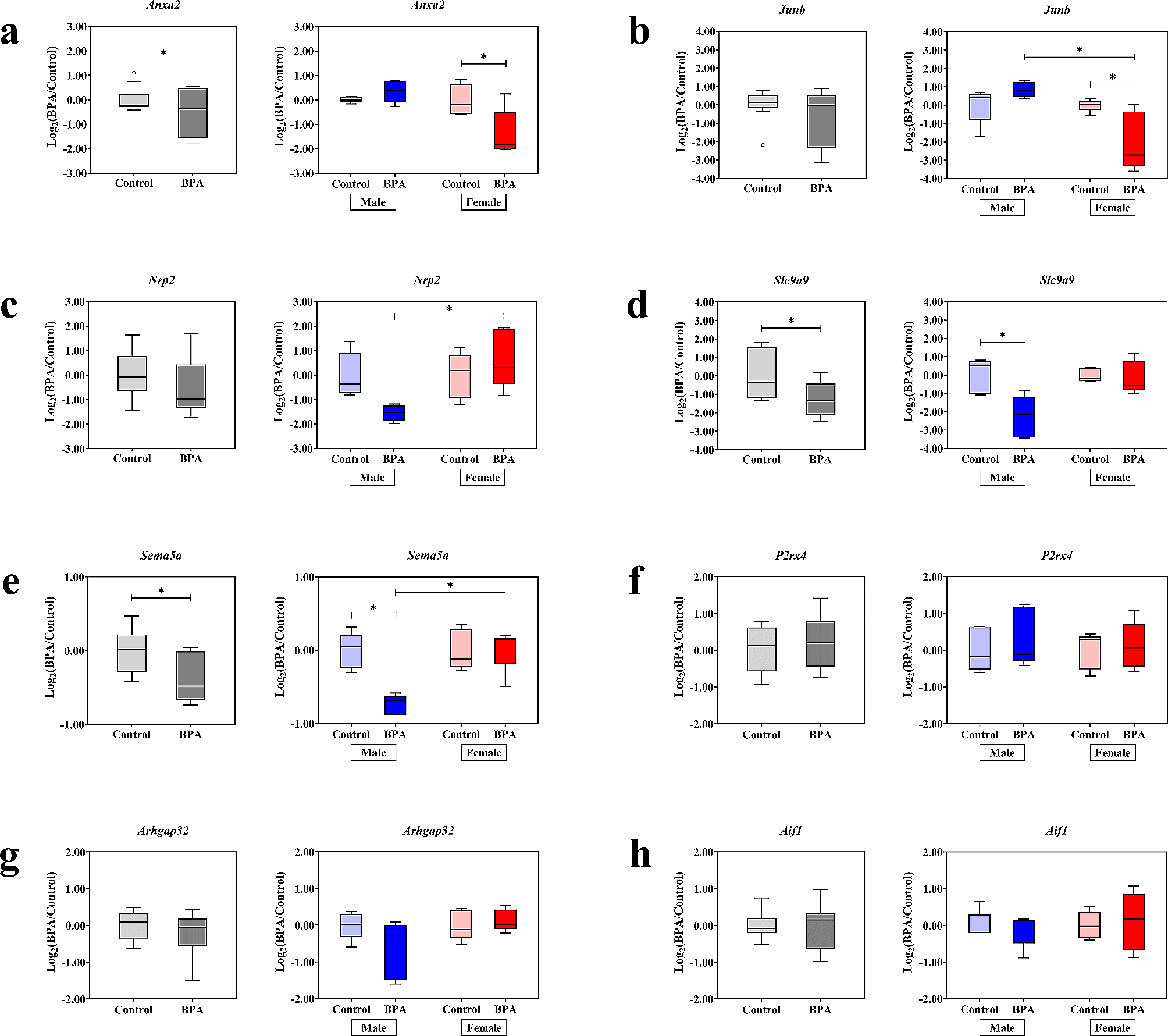 Sex-specific impacts of prenatal bisphenol A exposure on genes associated with cortical development, social behaviors, and autism in the offspring’s prefrontal cortex