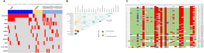 The landscape of NUP98 rearrangements clinical characteristics and treatment response from 1491 acute leukemia patients