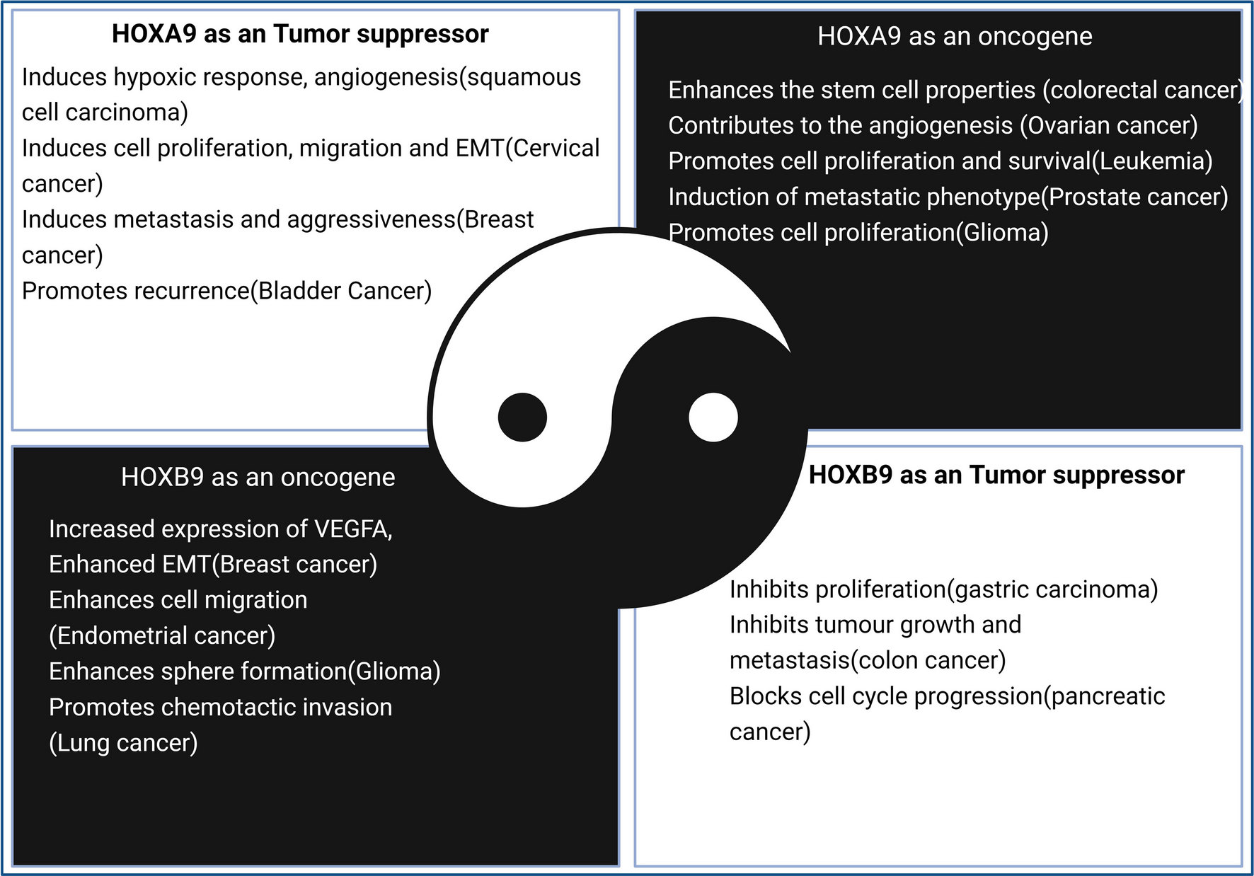 HOXA9 versus HOXB9; particular focus on their controversial role in tumor pathogenesis