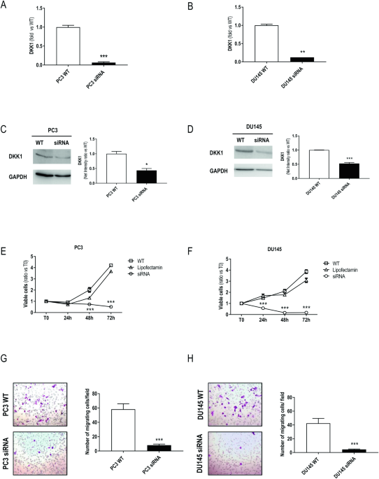 Dickkopf-1 (DKK1) drives growth and metastases in castration-resistant prostate cancer