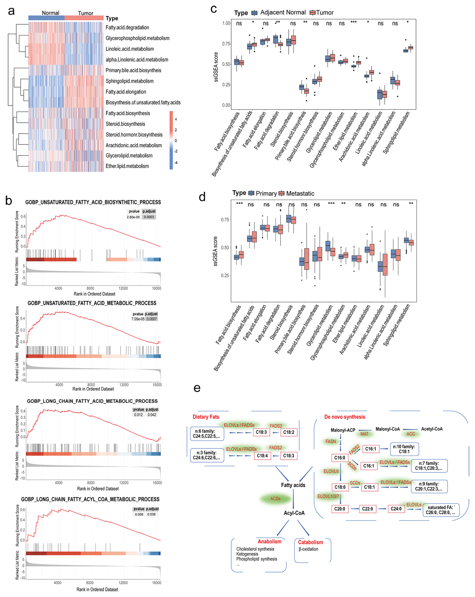 Deciphering fatty acid biosynthesis-driven molecular subtypes in pancreatic ductal adenocarcinoma with prognostic insights