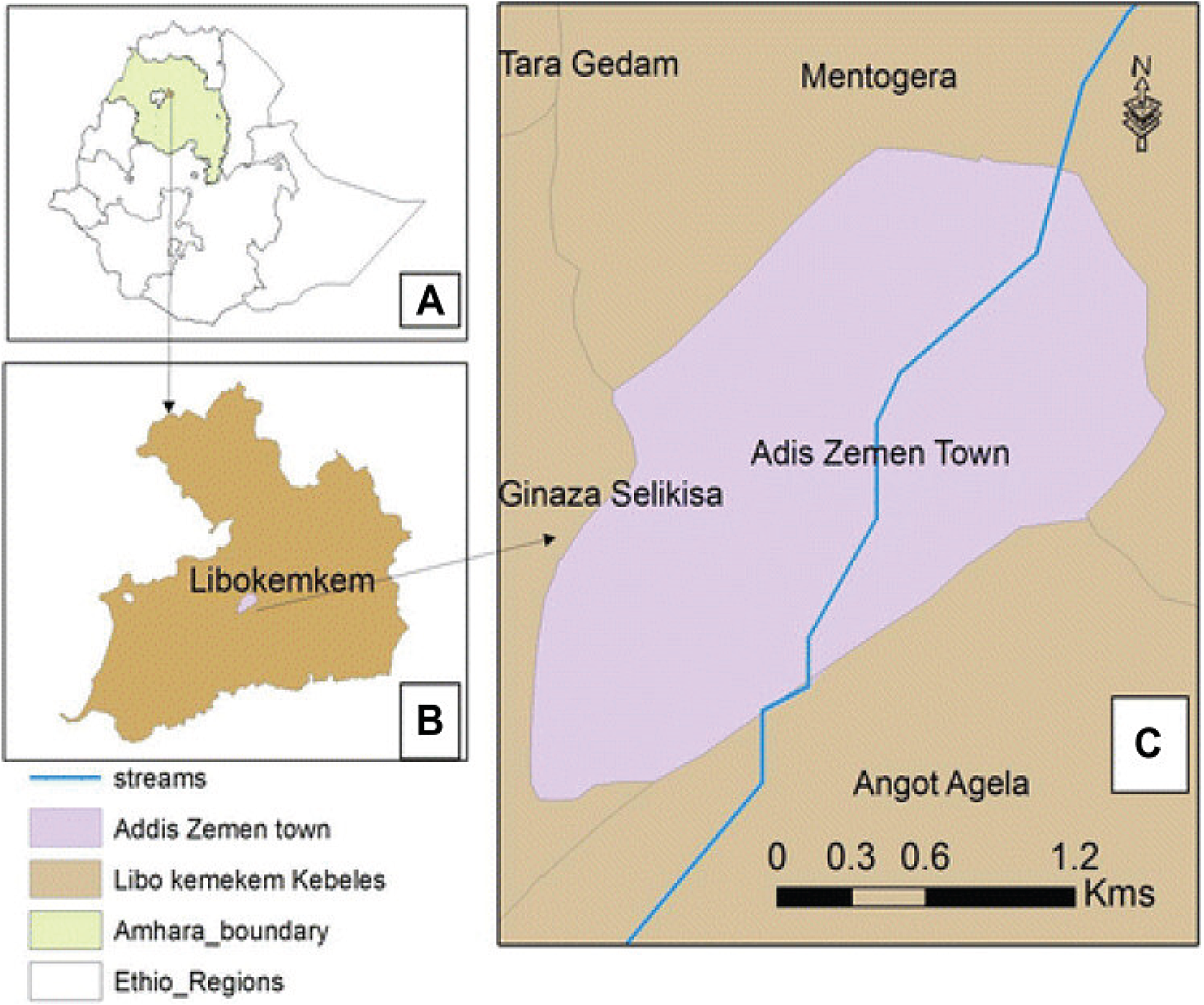 Blood smears examination and prevalence of malaria in Addis Zemen Town, Northwest Ethiopia (2013–2021): a retrospective study