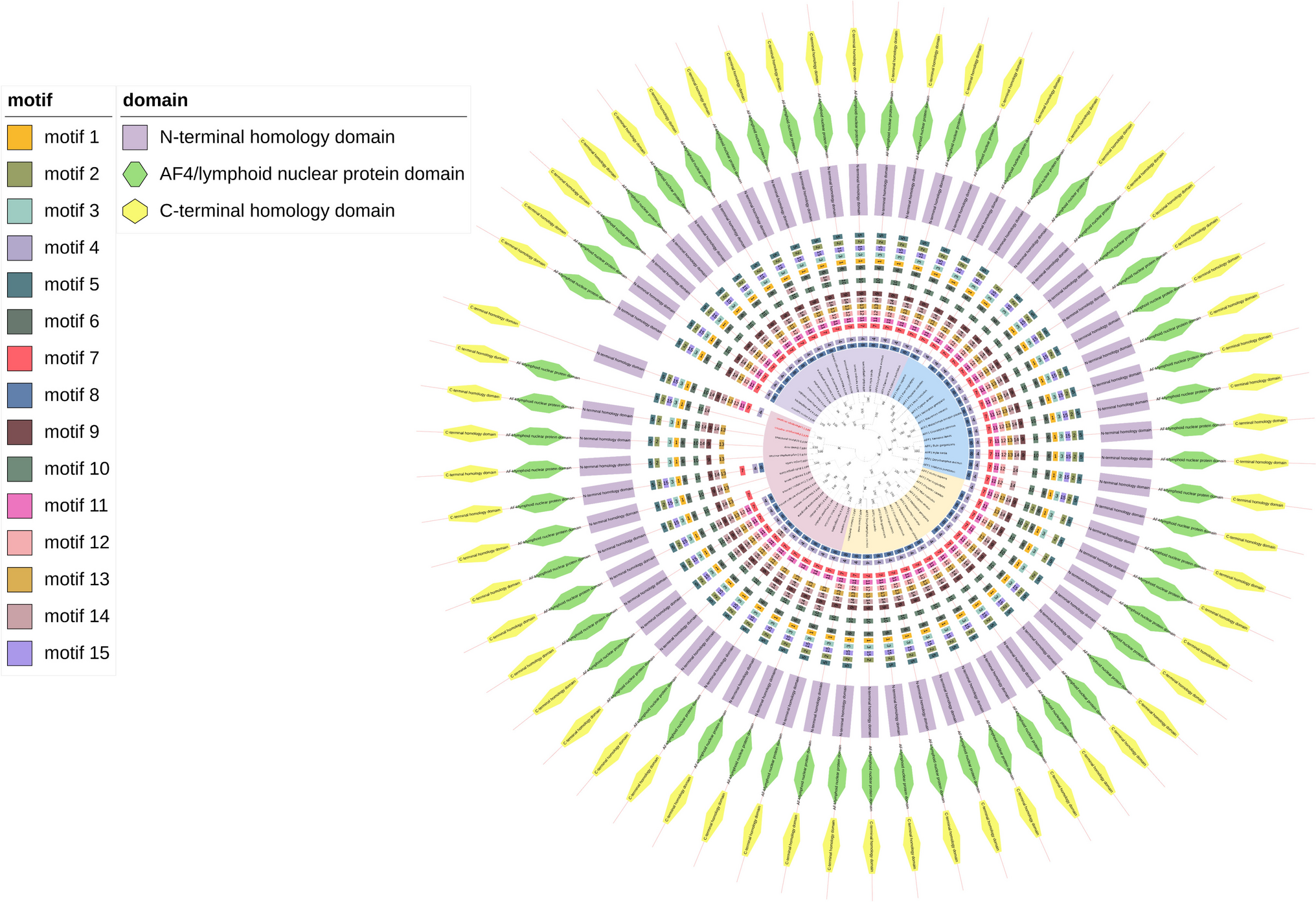 Molecular evolution of transcription factors AF4/FMR2 family member (AFF) gene family and the role of lamprey AFF3 in cell proliferation