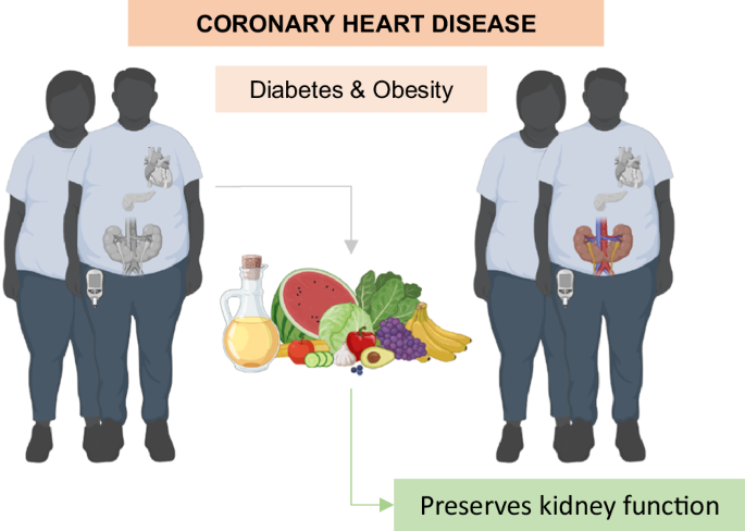 Mediterranean diet as a strategy for preserving kidney function in patients with coronary heart disease with type 2 diabetes and obesity: a secondary analysis of CORDIOPREV randomized controlled trial