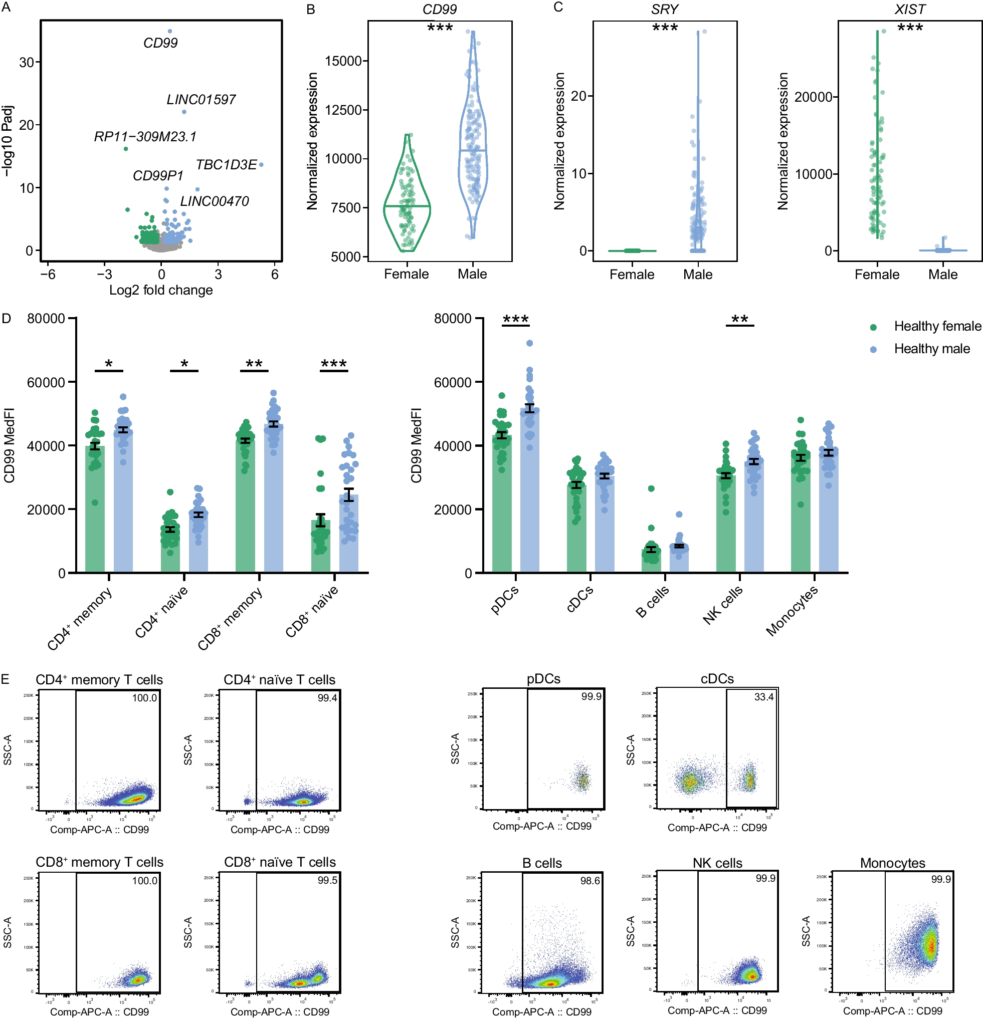 Sex- and species-specific contribution of CD99 to T cell costimulation during multiple sclerosis