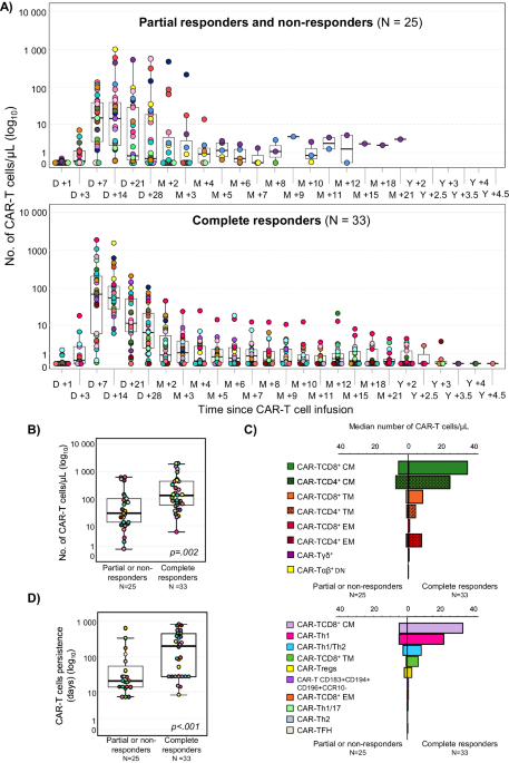 Impact of the kinetics of circulating anti-CD19 CAR-T cells and their populations on the outcome of DLBCL patients