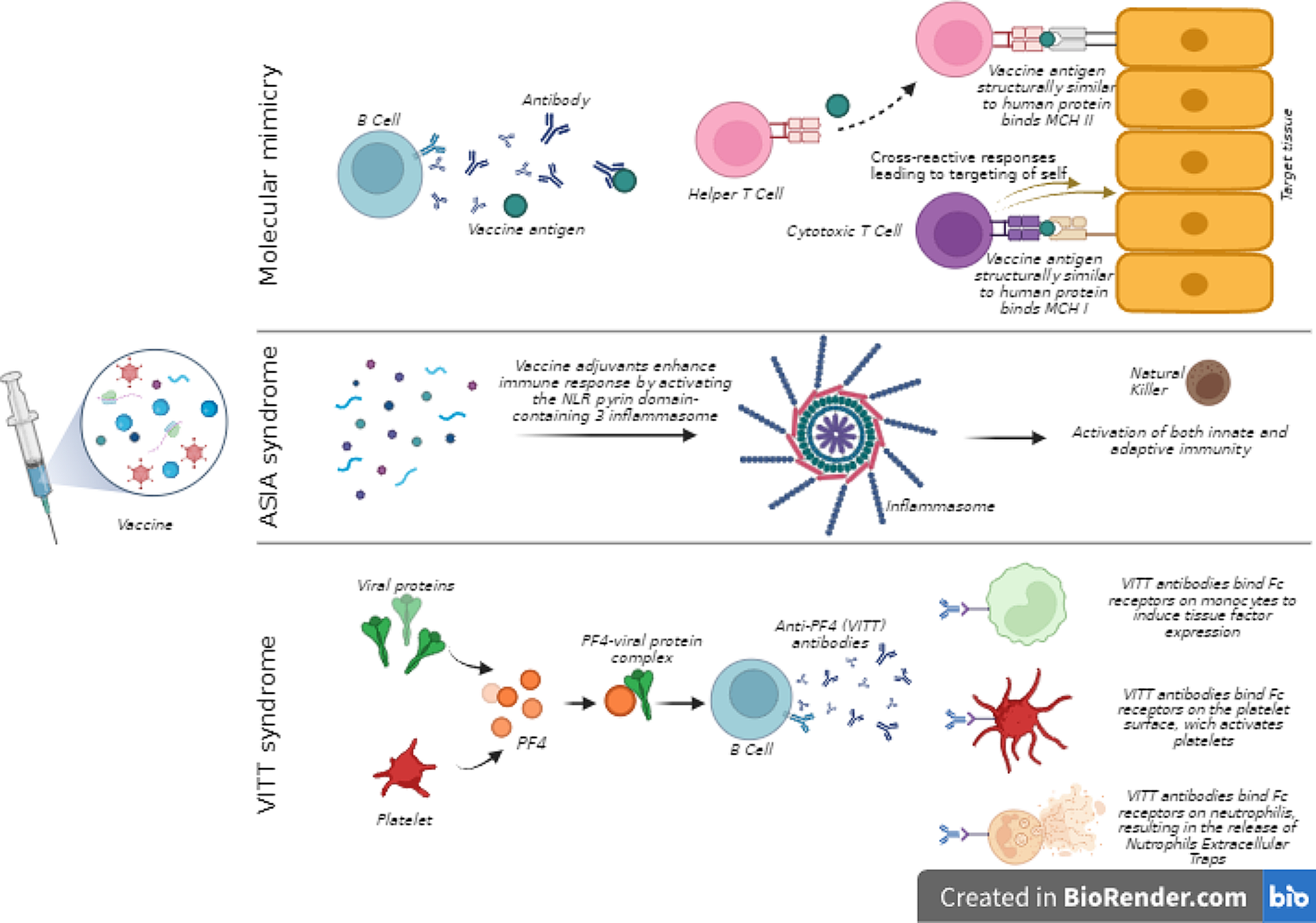 Pituitary and COVID-19 vaccination: a systematic review