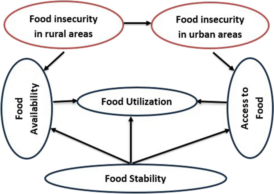 A comprehensive analysis of food insecurity in the drought–prone rural areas of Tigray