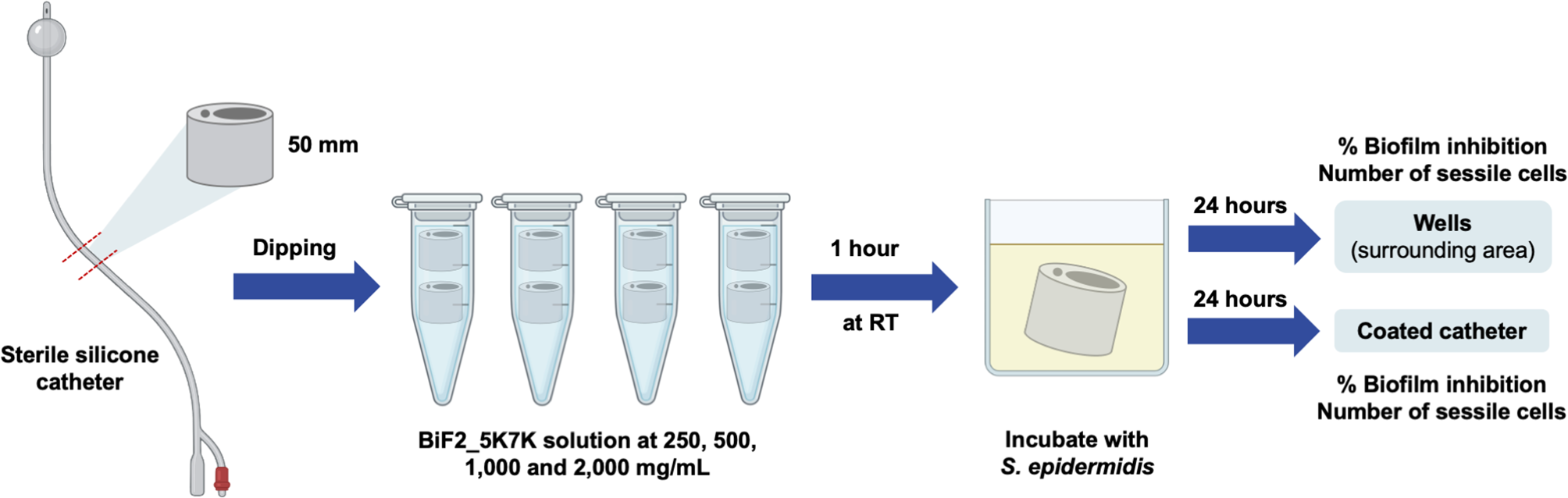 Dual-function antimicrobial-antibiofilm peptide hybrid to tackle biofilm-forming Staphylococcus epidermidis