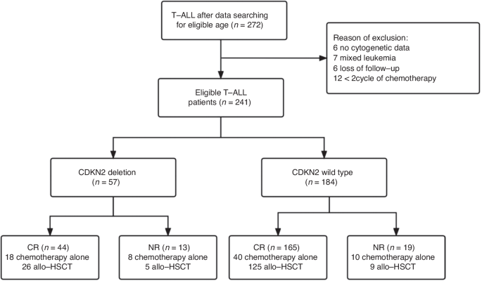 Allogeneic haematopoietic stem cell transplantation might overcome the poor prognosis of adolescents and adult patients with T-lineage acute lymphoblastic leukaemia and CDKN2 deletion