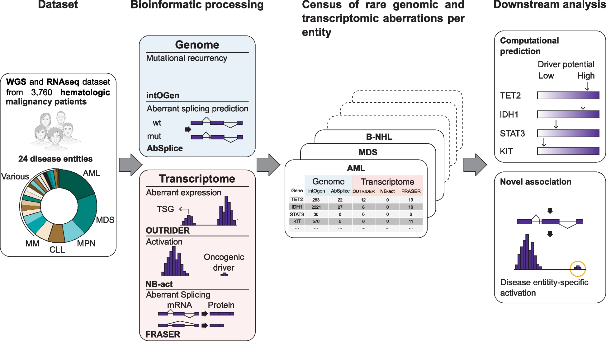 Analysis of 3760 hematologic malignancies reveals rare transcriptomic aberrations of driver genes