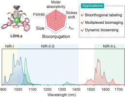 Lanthanide-dye hybrid luminophores for advanced NIR-II bioimaging
