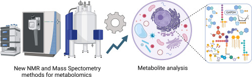 New analytical methods focusing on polar metabolite analysis in mass spectrometry and NMR-based metabolomics