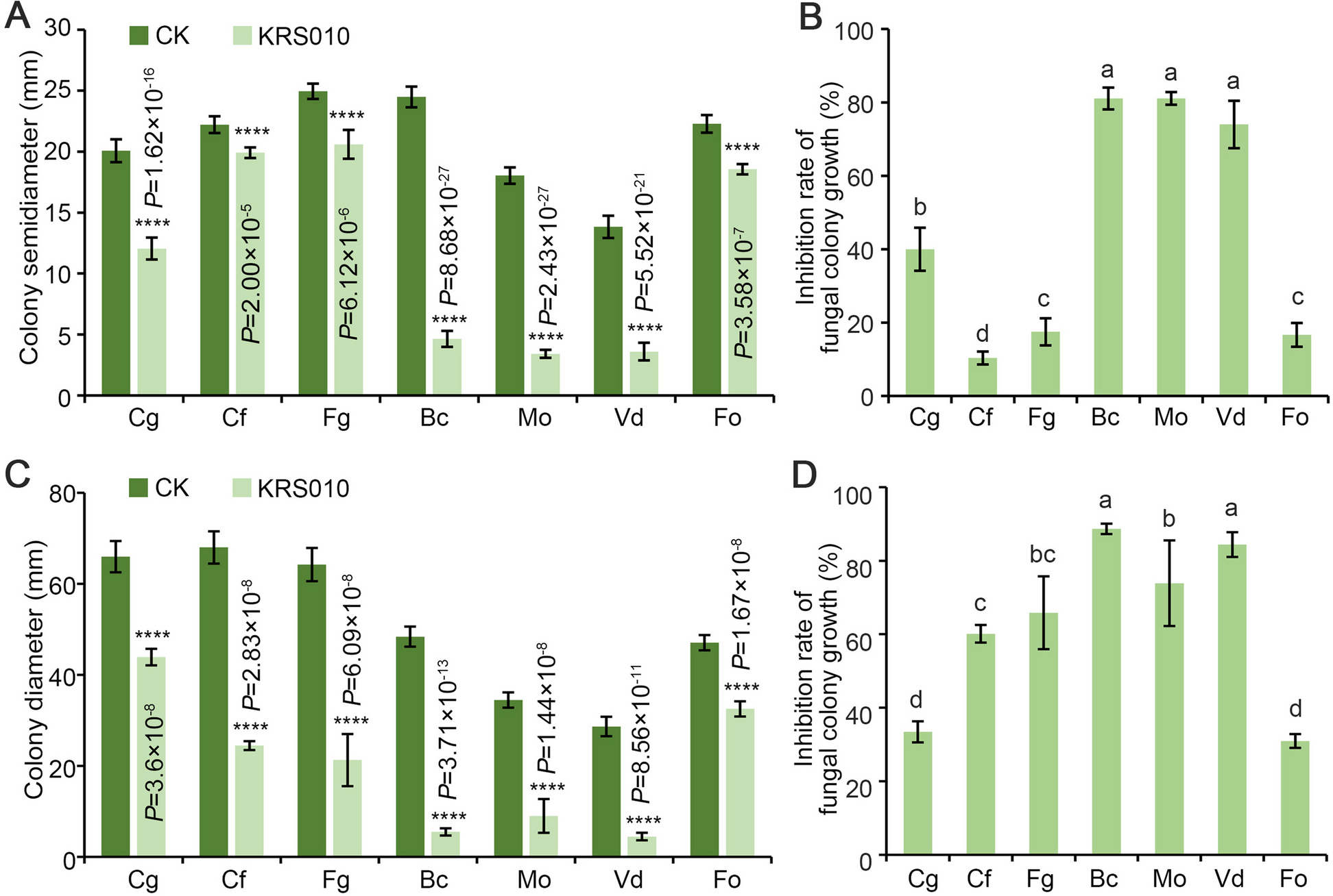 Insights into the biocontrol and plant growth promotion functions of Bacillus altitudinis strain KRS010 against Verticillium dahliae