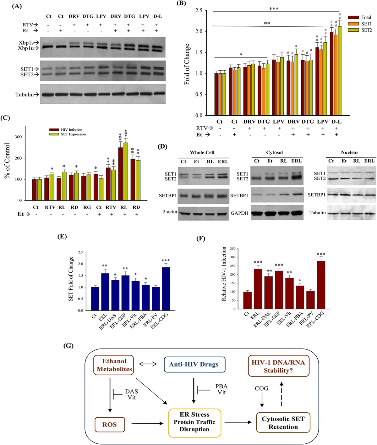 Effects of Combination of Ethanol With Ritonavir, Lopinavir or Darunavir on Expression and Localization of the ER-Associated Set Protein and Infection of HIV-1 Pseudovirus in Primary Human Cells