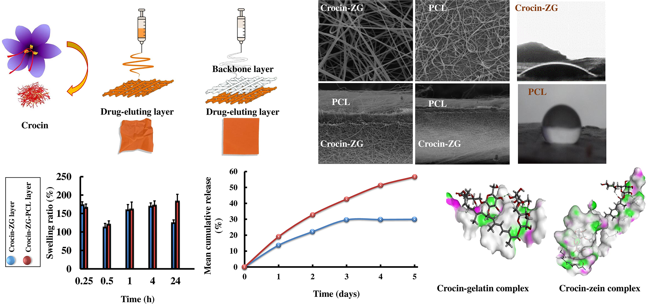 Fabrication, Physicochemical Characterization, and in Silico Evaluation of Bilayer Nanofibers as a Potential Sustained Crocin Delivery Dressing