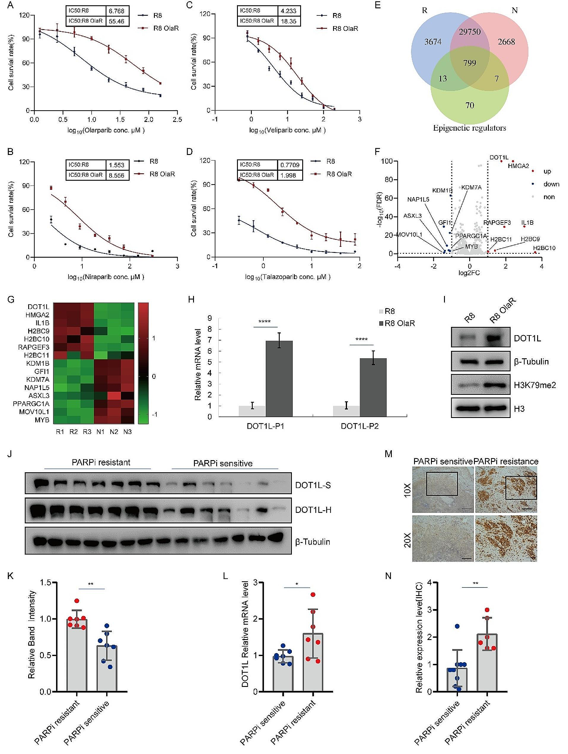 PARP1-DOT1L transcription axis drives acquired resistance to PARP inhibitor in ovarian cancer