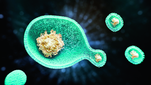 Sertoli cell lysosomal dysfunction drives age-related testicular degeneration