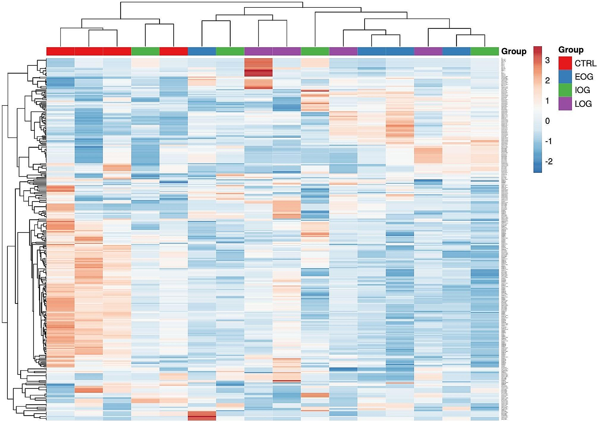 An RNA-seq study in Friedreich ataxia patients identified hsa-miR-148a-3p as a putative prognostic biomarker of the disease
