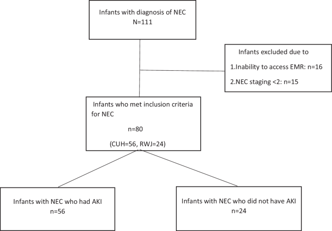 Timing and risk factors associated with acute kidney injury in infants with necrotizing enterocolitis