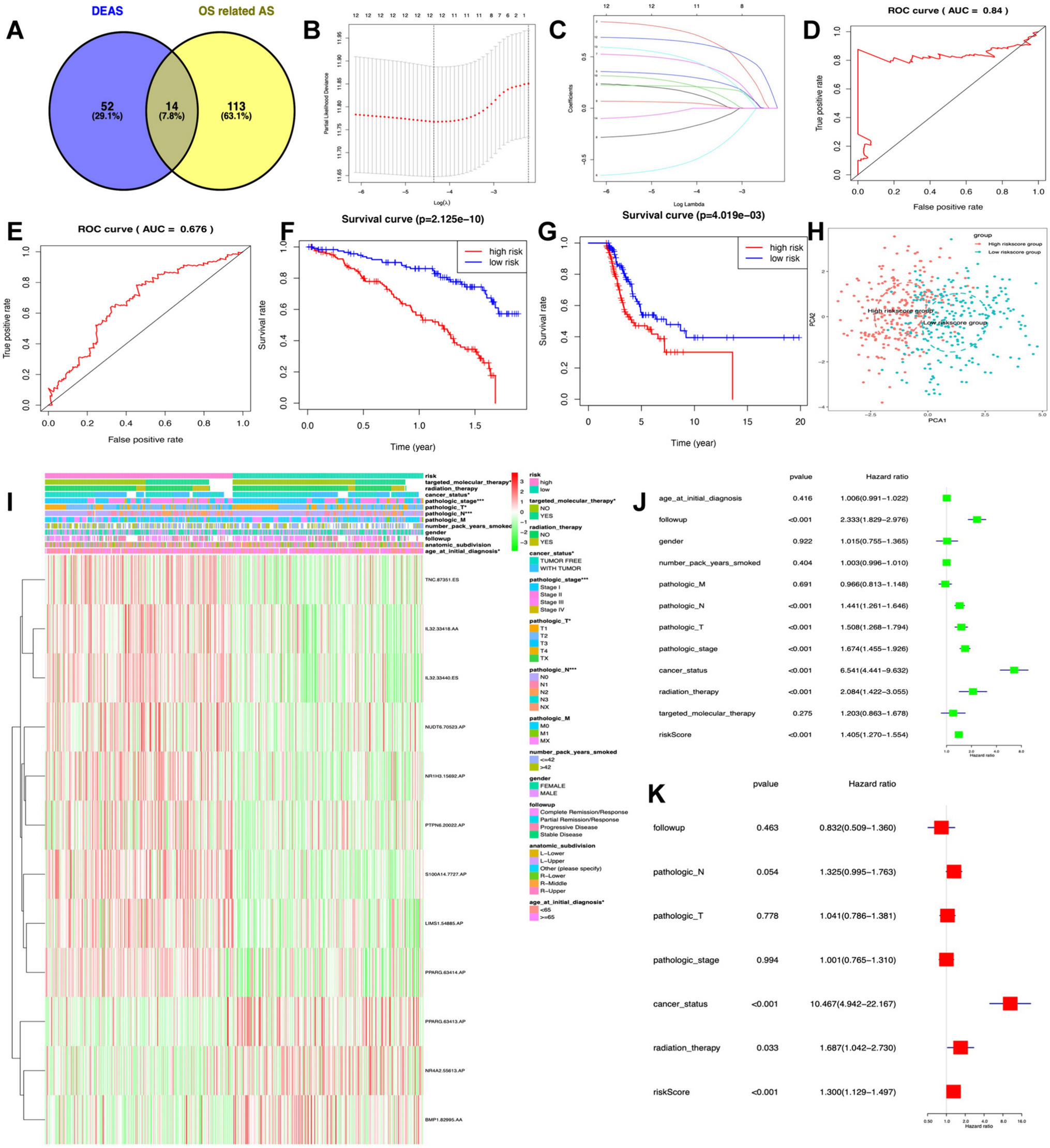 Clinically relevant immune subtypes based on alternative splicing landscape of immune-related genes for lung cancer advanced PPPM approach