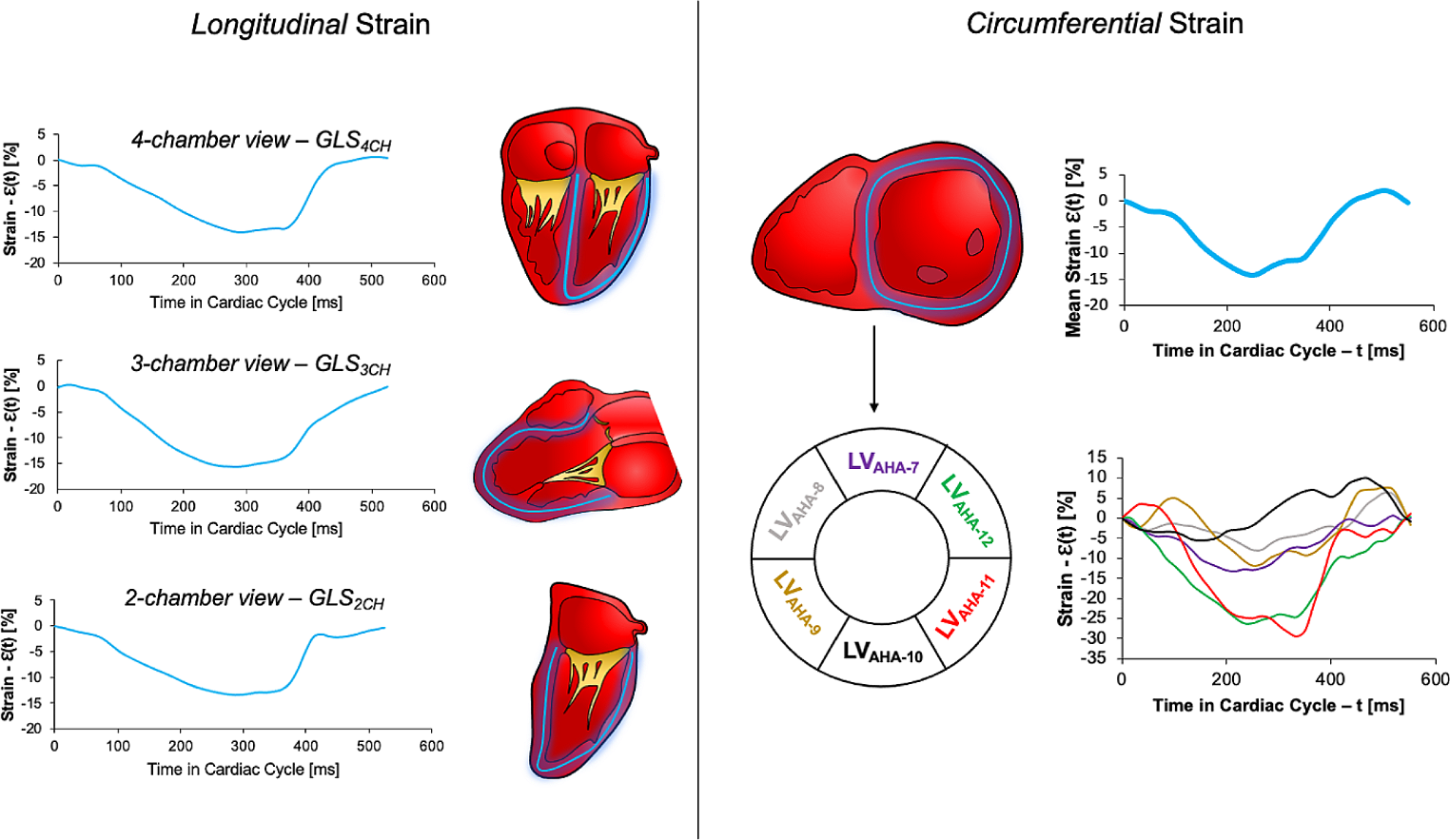 Non-invasive myocardial tissue deformation and discoordination indices predict cardiac allograft vasculopathy in pediatric heart transplantation patients
