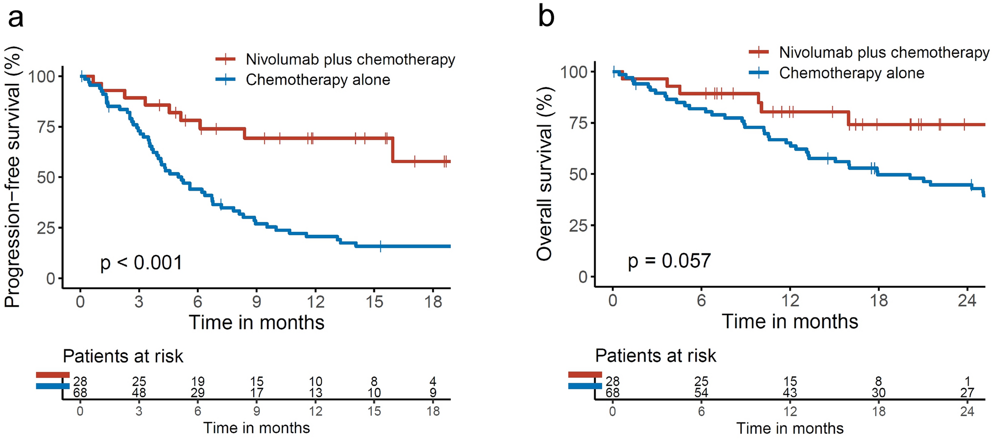 Factors associated with the efficacy of first-line nivolumab plus chemotherapy in advanced gastric cancer patients with deficient mismatch repair