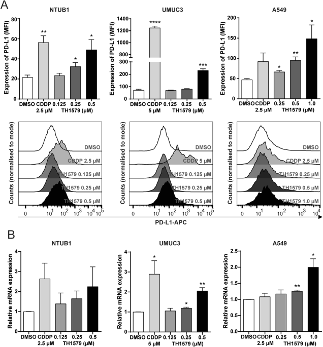 Mitotic MTH1 inhibitor TH1579 induces PD-L1 expression and inflammatory response through the cGAS-STING pathway